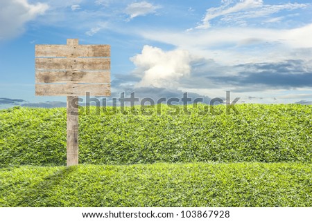 Wooden billboard on the grass background