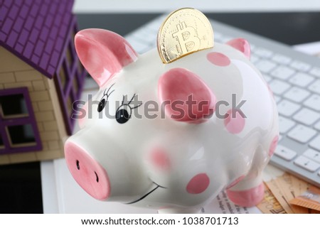 Souvenir coin bitcoin in piggy bank in the form