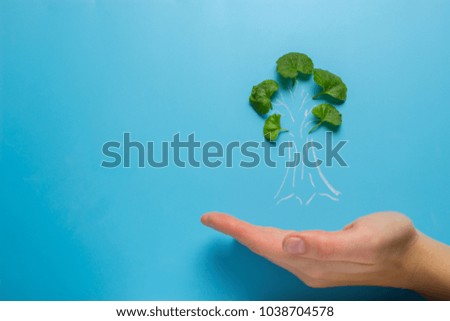 hand with tree decrease global warming. ecology concept
