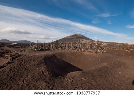 Volcanic vineyard in La Geria, Lanzarote , Canary islands, Spain.