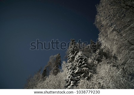 Beautiful night winter landscape in the mountain forest with the stars in the dark sky