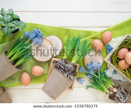Spring decorative composition. Flowers in a basket and pots of hyacinth, muscari, narcissus. Wooden background. Cozy decor of the Easter. Easter eggs. Colors are green, blue, brown.