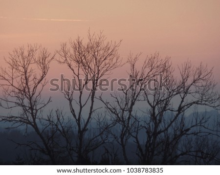 foggy sunset scene at Cotswold