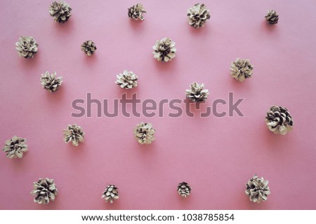 Pine cones on a pink pastel background. Place for the inscription, place for the text. Luxury background. 
