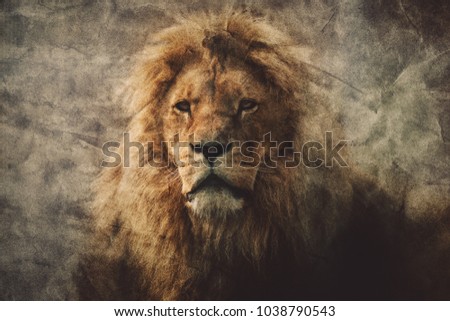 Majestic lion in a vintage portrait. King of the jungle. Dangerous animals and wildlife.
