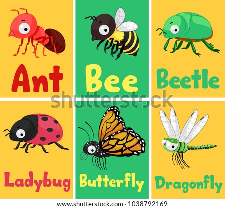 Illustration of Insects Flash Cards from Ant, Bee, Beetle, Ladybug, Butterfly to Dragonfly