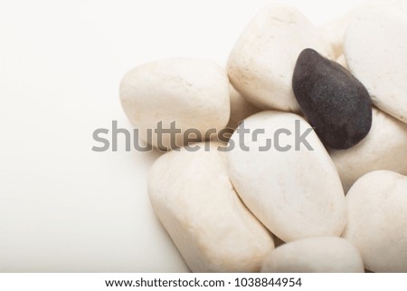 Water washed smooth white pebbles with a single black one on a white background with copy space in a conceptual image