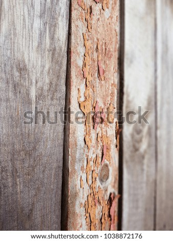 Old fence with a shabby paint background