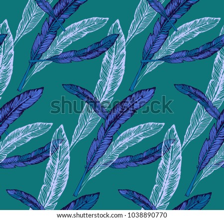 Pattern of feather