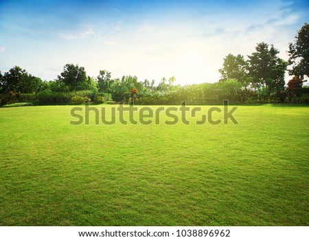 Natural green grass field in sunrise Royalty-Free Stock Photo #1038896962