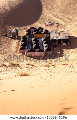 Desert Tent Camels