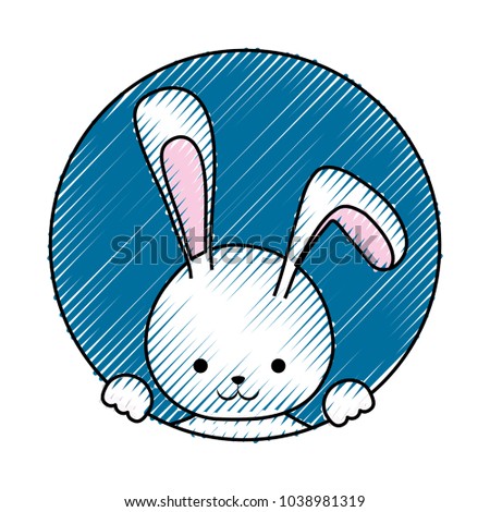 rabbit vector illustration