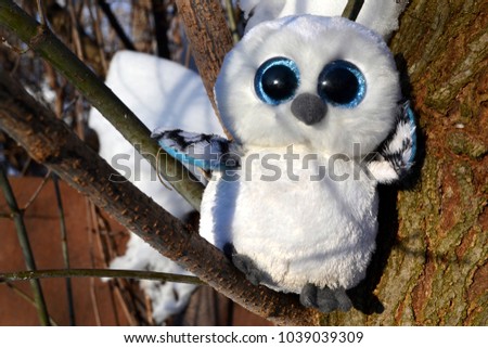 Cute owl toy on the branch of tree. Funny background.