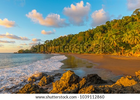 Landscape of the Pacific coastline and tropical rainforest of Costa Rica at sunset inside Corcovado national park, Osa Peninsula, Central America. Royalty-Free Stock Photo #1039112860