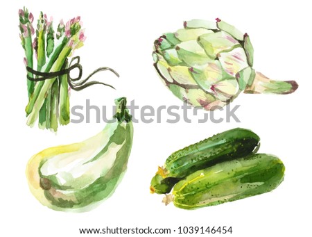 Watercolor painted collection of vegetables. Hand drawn fresh food design elements isolated on white background. Royalty-Free Stock Photo #1039146454