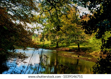  Autumn - natural landscape - Wiltshire - UK