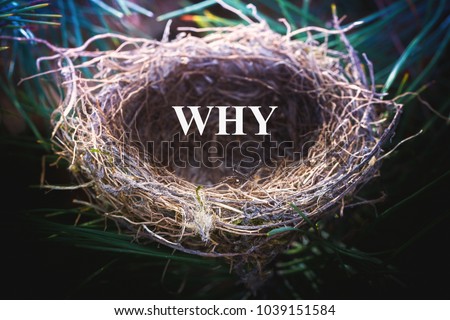 Bird's cozy nest, in the natural environment. There is the writing: WHY. Selective focus and lighting, dark background. For advertising, announcements or invitations.