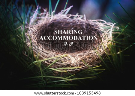 Bird's cozy nest, in the natural environment. There is the writing: SHARING ACCOMMODATION . Selective focus and lighting, dark background. For advertising, announcements or invitations.