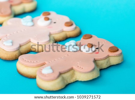 Delicious teddy bear cookies decorated with fondant and icing, in a bright blue background. Top lateral macro view.