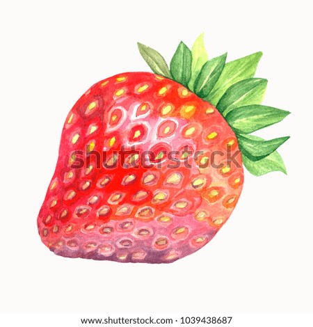 Watercolor of a strawberry. Fresh red berry. Isolated illustration on white background. Handmade drawing.