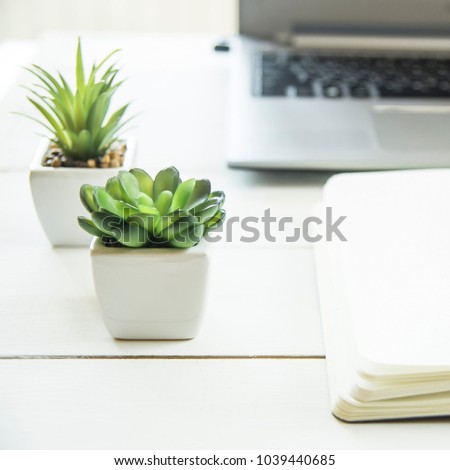 Two small pots with succulents at the computer on the desktop. Next to a white open notepad. A minimalistic stylish workplace