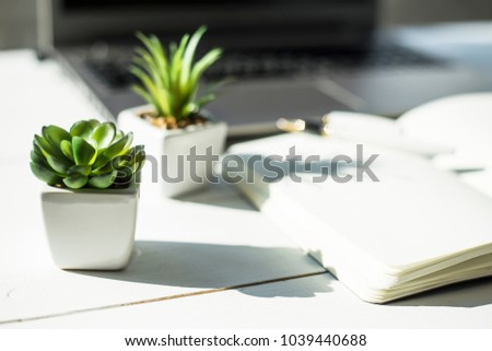 Two small pots with succulents at the computer on the desktop. Next to a white open notepad. A minimalistic stylish workplace Royalty-Free Stock Photo #1039440688