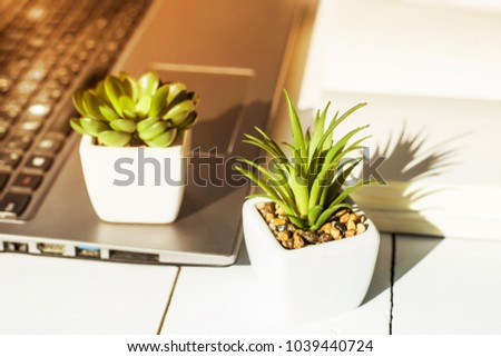 Two small pots with succulents at the computer on the desktop. Next to a white open notepad. A minimalistic stylish workplace in the sunlight
