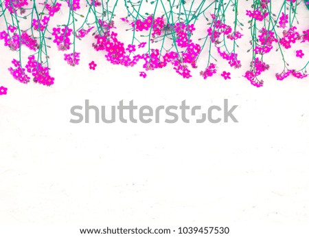 Beautiful Nature Spring Flower background with copy space for design. Border of pink flowers at the above white background. Top view. Greeting card for mother's day, birthday, Easter