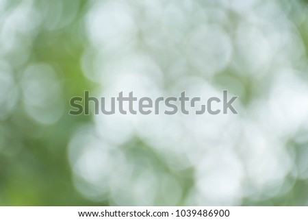 Blur green leaves with bokeh, abstract background