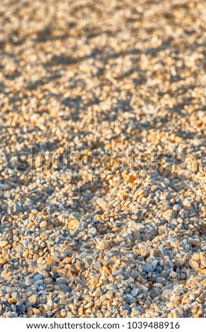 Nature shot of beige sand with footprints