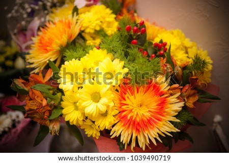 bouquet of yellow asters and coniferous branches