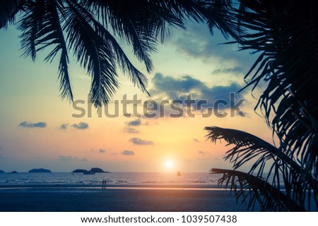 Sunset on the tropical sea beach with silhouette of palm leaves.   