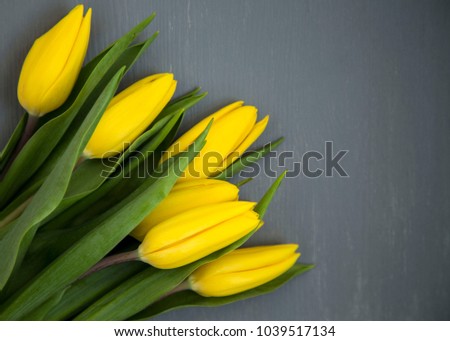 Yellow Fresh Spring Tulips Flowers Concept Woman's day Greeting Card Mother's Day Valentines Grey Background Natural Light Selective Focus