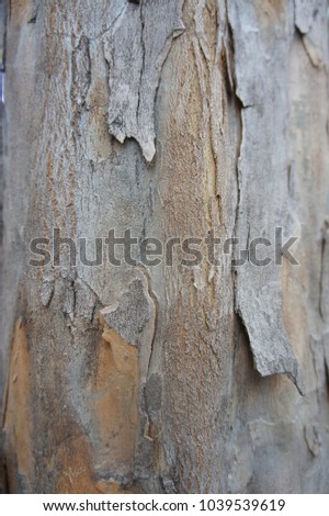 The rough texture of a wooden surface