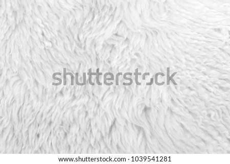 Fluffy white color sheep fur wool texture background