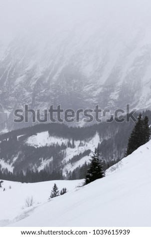 Vertical Snowy Mountainside