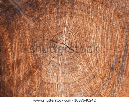 Wood pattern,Wood grain texture of old tree stump with cracks in brown tone for background