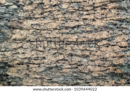 Rock stone background