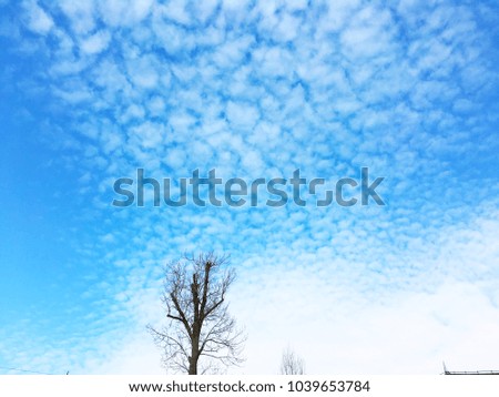Clear blue summer sky with clouds