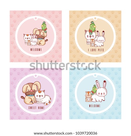 Cute greeting card with pets cartoon