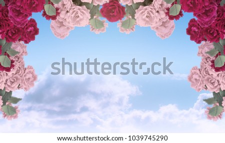 Rose flowers arrangement on background of sky and clouds and place for your photo, text or decoration. Floral arch garland. Copy space.