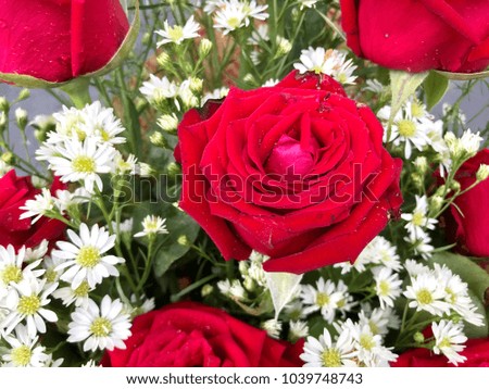Red rose bouquet decoration, fresh flower arrangement
