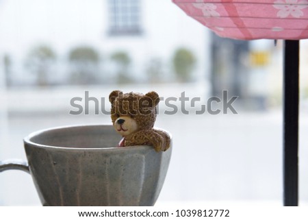 Bear in a teacup