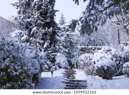 Snowy path in the park (Pesaro, Italy)