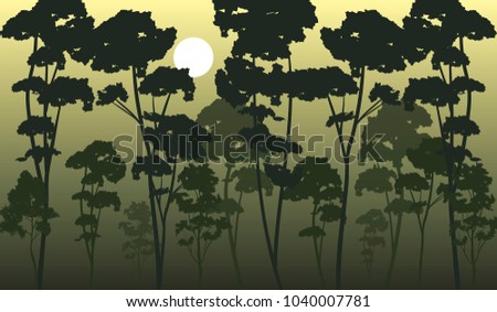 vector coniferous misty forest illustration. nature landscape