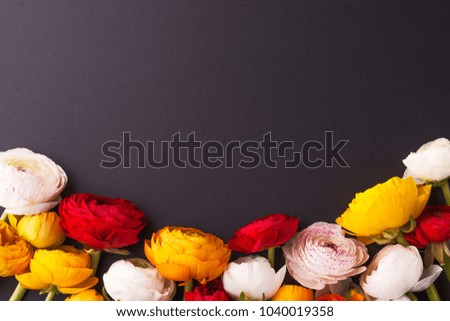 Colorful flowers on a dark background.
