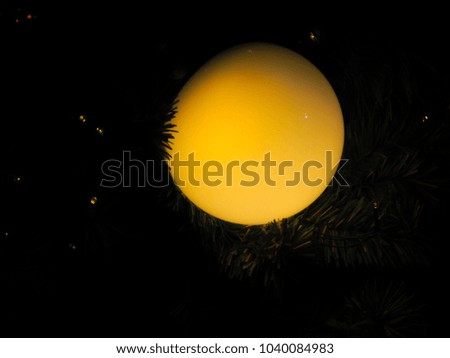 Christmas ball on the branches fir background.