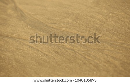 nature detail - macro photography with water carved lines on a yellow sand on a  bright sunny day in atlantic beach, Africa, Gambia