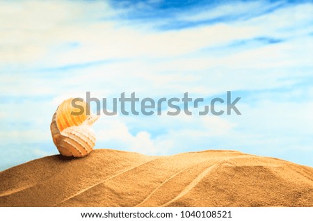 Summertime Seasonal, white yellow seashell on the sandy beach with sunny colorful blue sky background and copy space. Traveling and feeling lonely, cheering up, rest, refresh and relaxation Concept