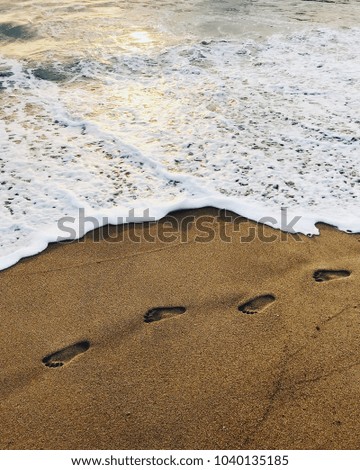 Footprints on the sand along the water line